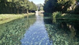 Μύθος και φύση, παρελθόν και παρόν συναντώνται σε μια ιχθυοκαλλιέργεια, στις πηγές των Χαρίτων