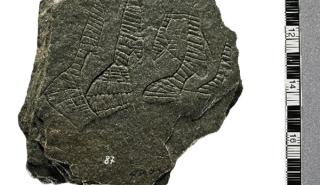 Η προέλευση των ενδυμάτων είναι τόσο παλιά όσο ο άνθρωπος