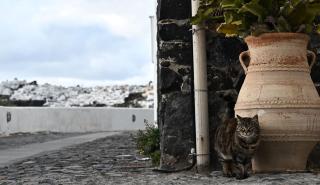 Αυξημένη εδαφική παραμόρφωση στη Σαντορίνη - Σε ύφεση η σεισμική ακολουθία