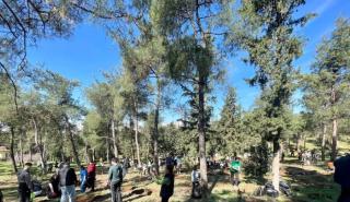 Θεσσαλονίκη: 1.500 νέα δέντρα φυτεύτηκαν στο περιαστικό δάσος της Τούμπας