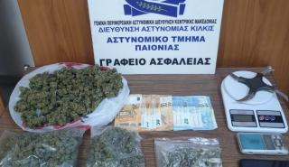 Κιλκίς: Συνελήφθη άντρας με παραισθησιογόνα μανιτάρια και πολεμικό μαχαίρι