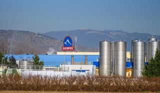 Ελληνικά Γαλακτοκομεία: Από μια μικρή τυροκομική επιχείρηση, στην «αυτοκρατορία» που αποκτά τη Δωδώνη
