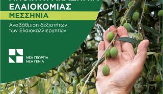 Νέα Γεωργία Νέα Γενιά: «Ακαδημία Ελαιοκομίας» στην Μεσσηνία