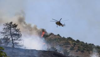 Συνελήφθη 30χρονη για την πυρκαγιά στη Βόρεια Χίο
