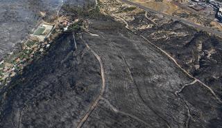 H απώλεια δασικής βλάστησης λόγω των πυρκαγιών αυξάνει δραματικά τις θερμοκρασίες εδάφους