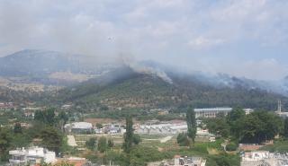 Καβάλα: Έσβησε η φωτιά που ξέσπασε στην ανατολική είσοδο της πόλης