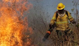 ΗΠΑ: Τουλάχιστον δυο πυροσβέστες νεκροί σε ενέδρα στην πολιτεία Άινταχο