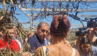 Αυτοψία στις καμένες περιοχές του Δήμου Διονύσου από τον Κ. Κατσαφάδο