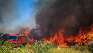 Χωρίς ενεργό μέτωπο οι πυρκαγιές σε Θεσπρωτία και Κιλκίς - Σε εξέλιξη οι φωτιές σε Καστοριά και Ευρυτανία: LIVE χάρτης