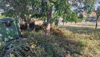Ακαθάριστα οικόπεδα: Ξεκίνησαν οι έλεγχοι της Πυροσβεστικής