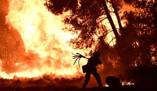 Πυροσβεστική: 62 αγροτοδασικές πυρκαγιές το τελευταίο 24ωρο