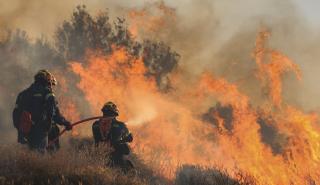Συνεχίζεται η μάχη με τις φλόγες στην Ιεράπετρα - Αίτημα κήρυξης κατάστασης έκτακτης ανάγκης