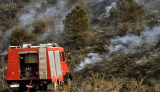 Πάτρα: Τρεις πυρκαγιές εκδηλώθηκαν ταυτόχρονα στον χώρο της πανεπιστημιούπολης
