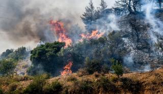 Πυρκαγιές: Σε εξέλιξη οι φωτιές σε Αχαΐα και Χίο - Χωρίς ενεργό μέτωπο Φιλιππιάδα και Ζάκυνθος