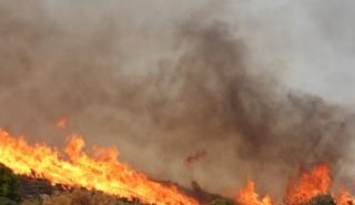 Απειλεί σπίτια η πυρκαγιά στα Πετράλωνα Μεσσηνίας - Ήχησε το 112