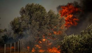 Ειδική πλατφόρμα για την προσωρινή διαμονή πληγέντων από την πυρκαγιά στην Κερατέα
