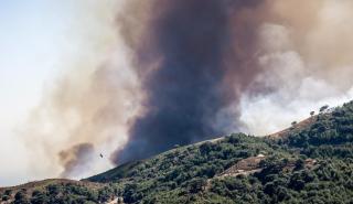 Πυρκαγιά στη Στεμνίτσα Αρκαδίας - Επιχειρούν εναέρια μέσα
