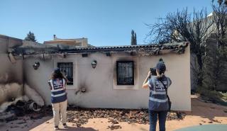 Κατσαφάδος: Με ψηφιακά εργαλεία και ταχύτατους ρυθμούς η καταγραφή των ζημιών από τις πυρκαγιές
