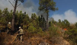 Ισπανία: Υποχωρούν οι ενεργές εστίες – Αισιοδοξία για το τέλος του πύρινου εφιάλτη