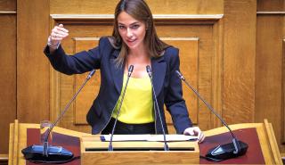 Νόμος του κράτους η κοινωνική αντιπαροχή και η ισόβια τριτεκνική ιδιότητα - Μήνυμα Μιχαηλίδου