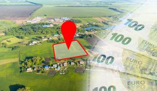 Αγροτικός Τομέας και Τράπεζες: Η Χρηματοδότηση σε κλοιό ρίσκου…