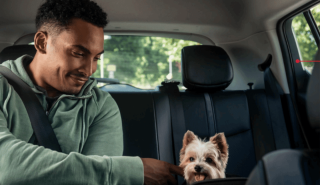 Η Uber φέρνει στην Ελλάδα ταξί για κατοικίδια