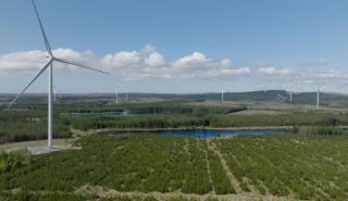 Amazon: Είκοσι έργα αιολικής και ηλιακής ενέργειας τέθηκαν φέτος σε λειτουργία στην Ευρώπη - Οι επενδύσεις στην Ελλάδα