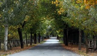 5 ελατοσκέπαστα χωριά κοντά στην Αθήνα για χριστουγεννιάτικες αποδράσεις