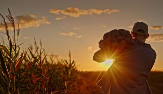 Στα 3,7 δισ. ευρώ οι καταβολές προς τους αγρότες το 2025