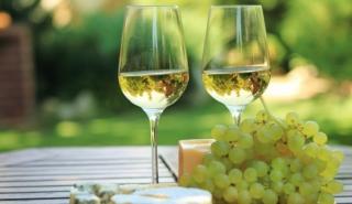 Σταθερή αύξηση εξαγωγών των οινοποιείων της ΠΑΜΘ σε Ευρώπη, Αμερική και Ασία