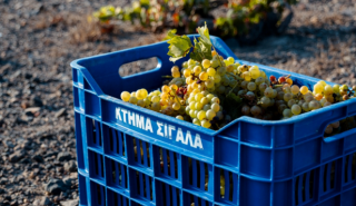 Η «Κυρ-Γιάννη» εξαγοράζει το Κτήμα Σιγάλα