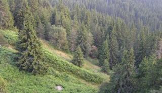 Προδιαγεγραμμένη καύση: Το νέο μοντέλο πρόληψης πυρκαγιών και διαχείρισης της καύσιμης ύλης