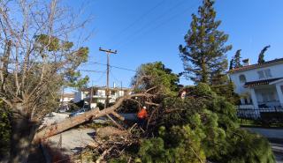 Θεσσαλονίκη: Πτώσεις δεκάδων δέντρων και πινακίδων από τους ισχυρούς ανέμους μέχρι και 8 μποφόρ