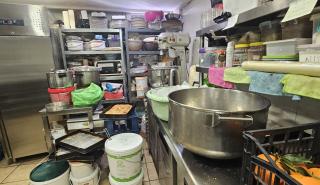 Περ. Αττικής: Κατασχέθηκαν 12 τόνοι ακατάλληλων προϊόντων, πάνω από 324.000 ευρώ τα πρόστιμα