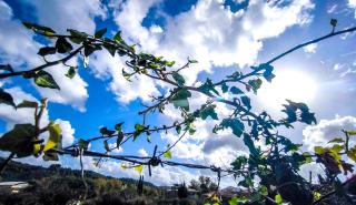 Νέο κύμα κακοκαιρίας με χιόνια στα ορεινά το Σαββατοκύριακο