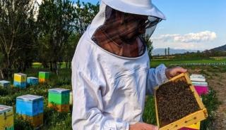 Το μέλλον της ελληνικής μελισσοκομίας στην εποχή της κλιματικής κρίσης
