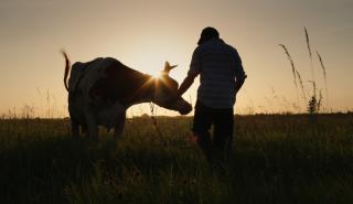 Σχέδιο Επιβίωσης - 9 προτάσεις για την επόμενη μέρα του Πρωτογενούς τομέα