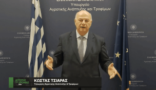 Τσιάρας: Η μετάβαση στη γεωργία έντασης κεφαλαίου είναι το κλειδί για ανταγωνιστικό Έλληνα παραγωγό