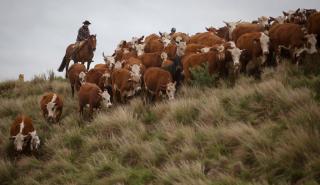 MERCOSUR: Γιατί δεν... έχουμε να φοβόμαστε τη συμφωνία