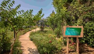 Νέο ΔΕΗ Mini Park στον Δήμου Αμαρουσίου