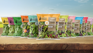 Τι «μαγειρεύει» ο Αντώνης Βεζύρογλου - Νέα εταιρεία από τον «άρχοντα» της σαλάτας