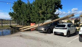 Ζημιές από τους θυελλώδεις ανέμους στη Φθιώτιδα - Χιονοπτώσεις και αλυσίδες στην Ευρυτανία