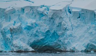 Στην Ανταρκτική η γρίπη των πτηνών - Αποδεκατίζει πληθυσμούς σπάνιων πληθυσμών, ακόμη και θηλαστικών