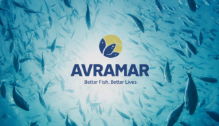 Συνεχίζεται το «θρίλερ» στην Avramar - Το χαρτί της ΑΜΚ «παίζουν» οι Καναδοί της Cooke