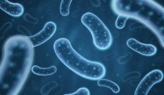 Ζήτημα δημόσιας υγείας η μικροβιακή αντοχή σε βακτήρια που μεταδίδονται μέσω τροφίμων