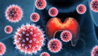 Έκτος σε συχνότητα ο καρκίνος κεφαλής, τραχήλου, φάρυγγα & λάρυγγα - Δωρεάν εξετάσεις για ενήλικες