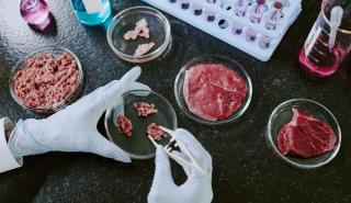 Ο «πόλεμος της μπριζόλας»: Το κρέας εργαστηρίου στα δικαστήρια;