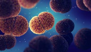 Τι πρέπει να γνωρίζουμε για τη μηνιγγίτιδα - Οι ειδικοί συμβουλεύουν