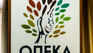 Τι αποκάλυψε ο εσωτερικός έλεγχος του ΟΠΕΚΑ για την υπόθεση χορήγησης παράτυπων επιδομάτων ύψους 1,8 εκατ. ευρώ