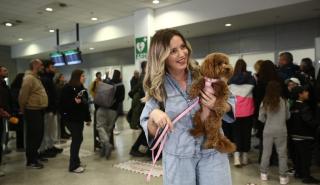 Επιχείρηση «Κιβωτός»: 101 Έλληνες επαναπατρίστηκαν από Μέση Ανατολή με τα 45 κατοικίδιά τους